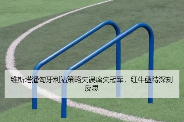 维斯塔潘匈牙利站策略失误痛失冠军，红牛亟待深刻反思