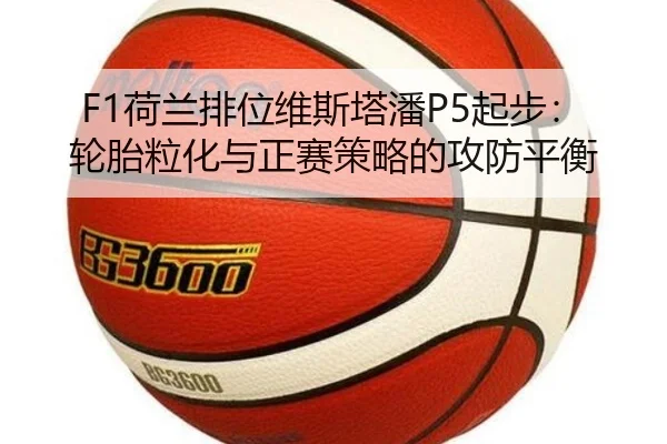 he-lan-pai-wei-wei-si-ta-pan-qi-bu-lun-tai-li-hua-yu-zheng-sai-ce-lve-de-gong-fang-ping-heng-3-570.jpg