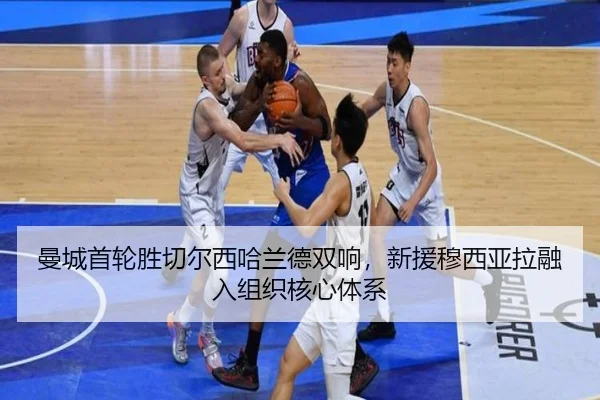 man-cheng-shou-lun-sheng-qie-er-xi-ha-lan-de-shuang-xiang-xin-yuan-mu-xi-ya-la-rong-ru-zu-zhi-he-xin-ti-xi-3-673.jpg
